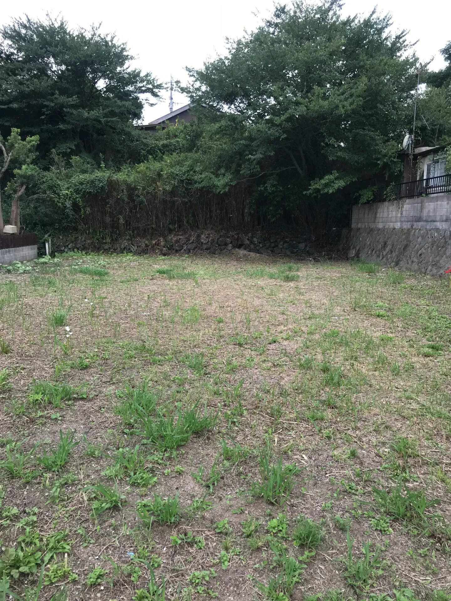 【更新物件情報】宮若市鶴田1811-91【売地】